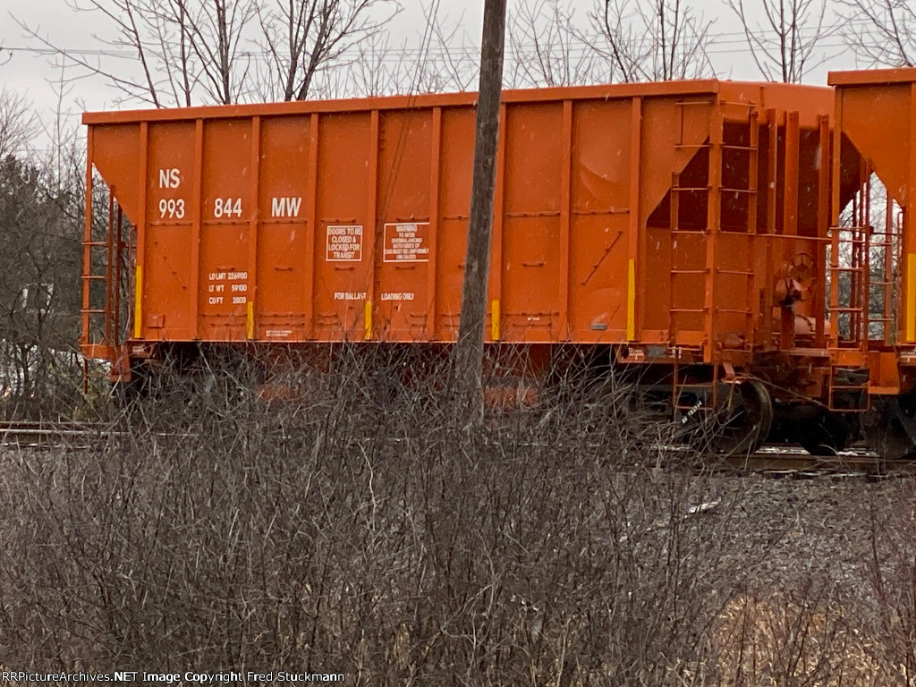 NS 993844 is new to rrpa.